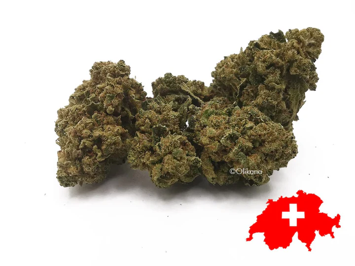 Cannatonic (indoor)